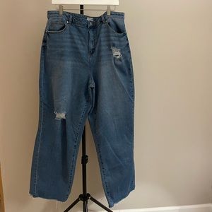 Plus Size Denim Jeans | Small Rips | 18